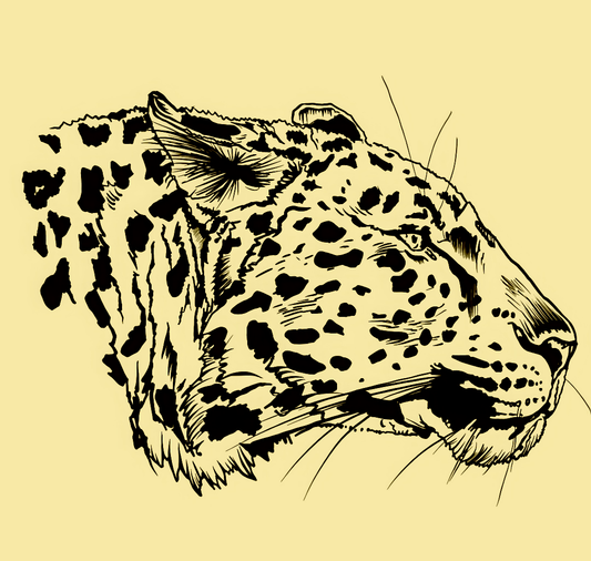 Jaguar Print